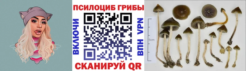 продажа наркотиков  Смоленск  Галлюциногенные грибы Cubensis 
